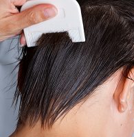 Head Lice Prevention