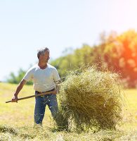 Heat-related Illnesses