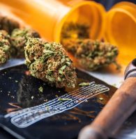 Exploding a Marijuana Drug Testing Myth