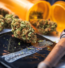 Exploding a Marijuana Drug Testing Myth