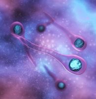 Tetanus: Up-to-Date Booster