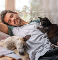Pets, People and the Happiness Quotient