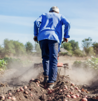 Valley Fever – Managing Exposure Risk