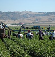 Breaking News: New Protections for Agricultural Workers Proposed