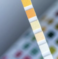 Federal Workplace and DOT Drug Testing Rules and Forms